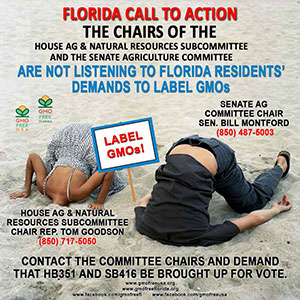 Florida-Call-to-Action-Sized